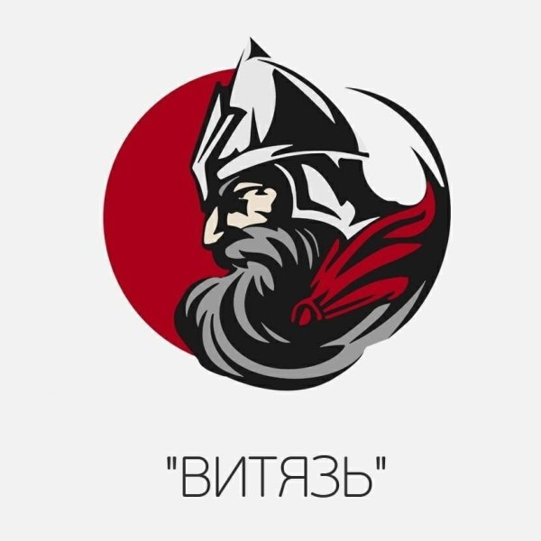 Логотип команды Витязь