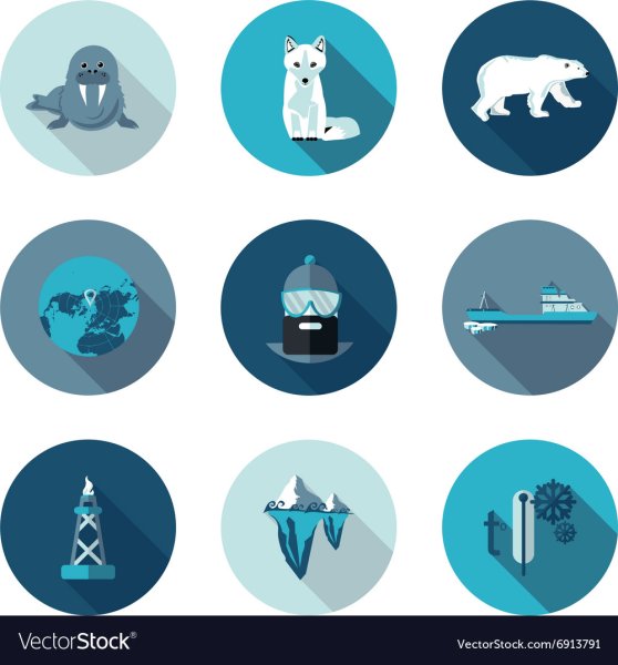 Символ Арктики