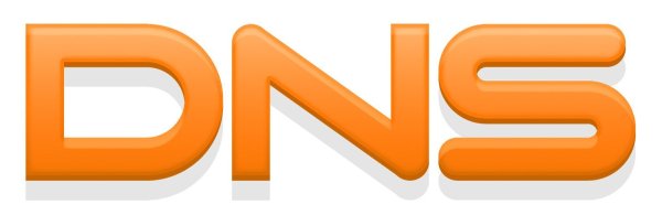 ДНС цифровая и бытовая техника лого