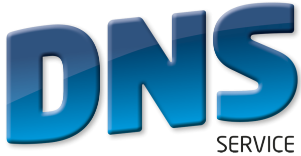 DNS сервер лого