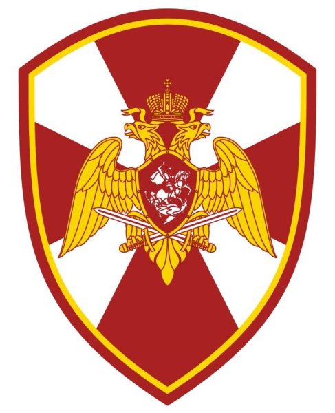 Шевроны ВНГ РФ