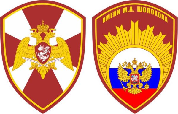 Южный округ Шеврон ВНГ