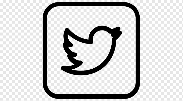 Логотип твиттера на белом фоне