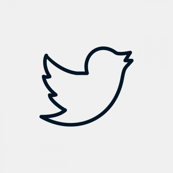 Твиттер Лог