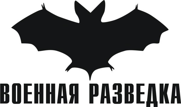 Наклейка летучая мышь разведка