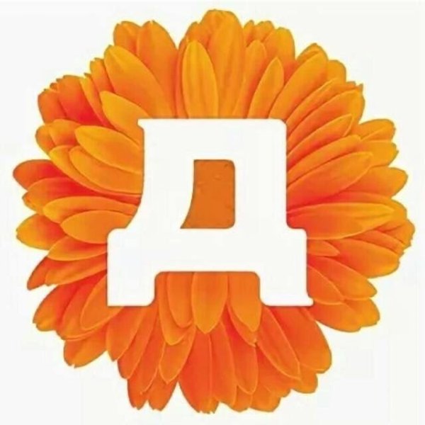 Магазины Дикси Видное