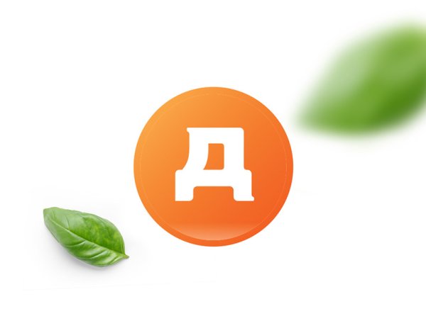 Дикси логотип 2021