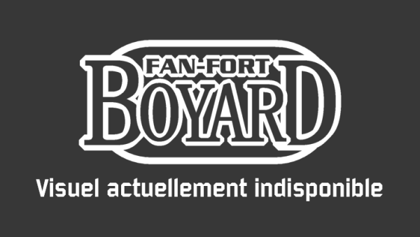 Форт Боярд логотип