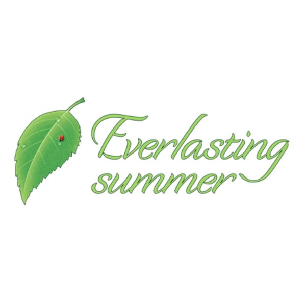 Everlasting Summer ворота лагеря