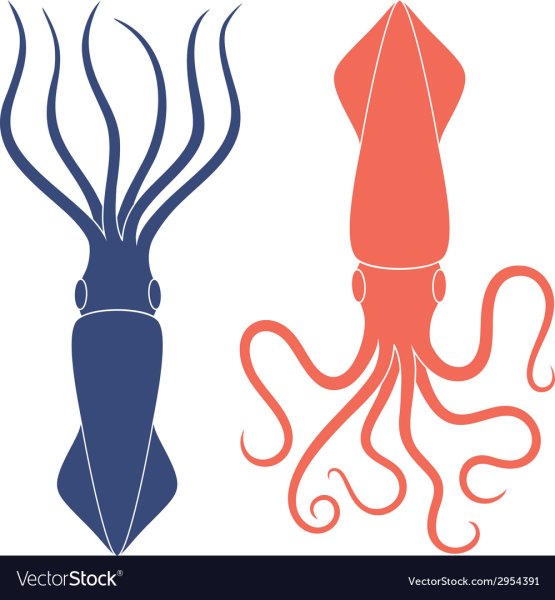 Стилизованный кальмар