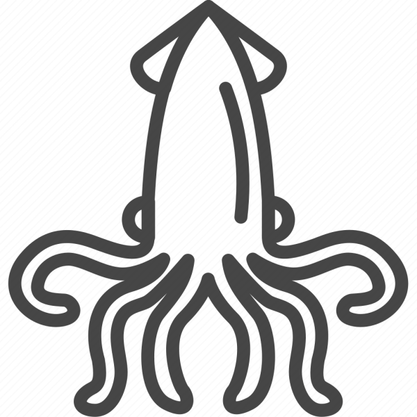 Силуэт кальмара