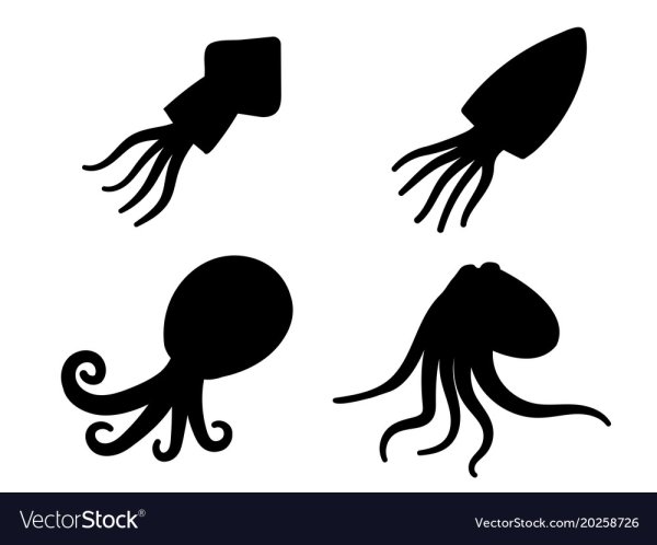 Знак кальмара