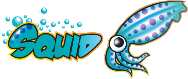 Squid proxy logo