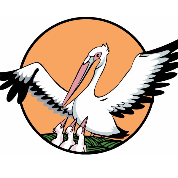 Пеликан символ конкурса учитель года 2022 года