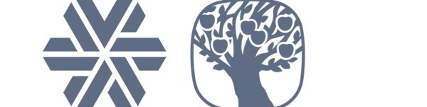 Логотип сибериан велнес