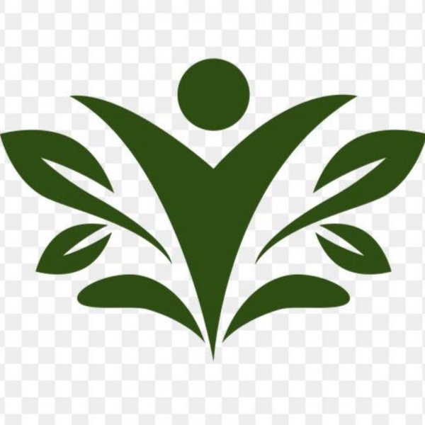 Оздоровление значок