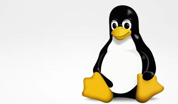 Linux исполнитель