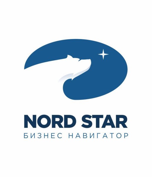 North Star логотип