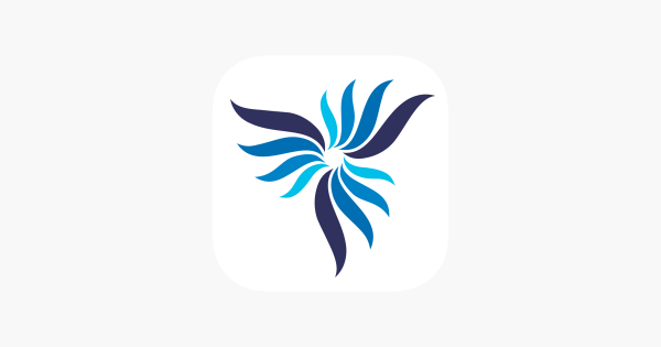 Авиакомпания Нордстар логотип