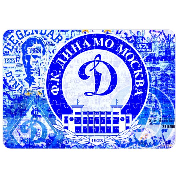 Общество Динамо 100 лет