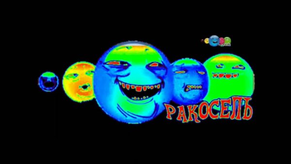 Ракосель в реальной жизни