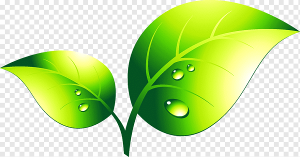 Лист экология