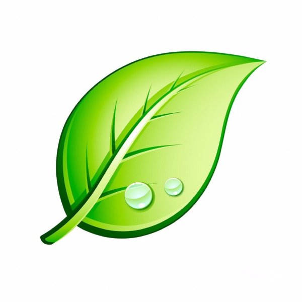 Листик экология