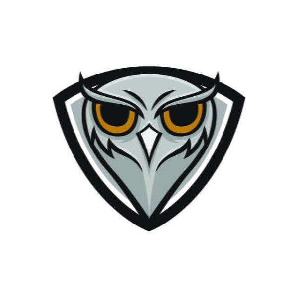 Изображения Совы для логотипа