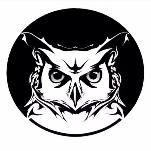 Изображения Совы для логотипа