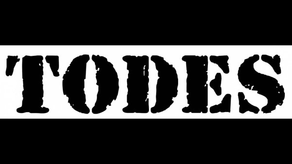 Логотип Тодес на Яузе