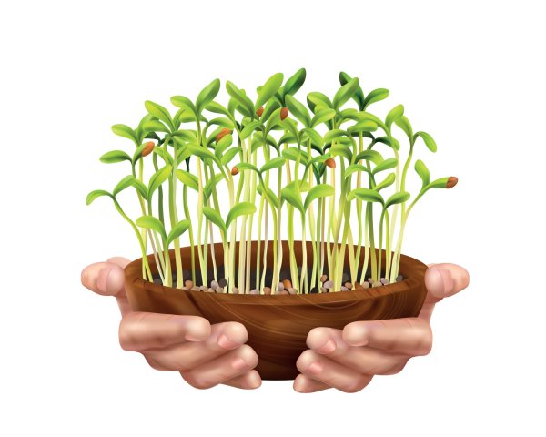 Микрозелень значок