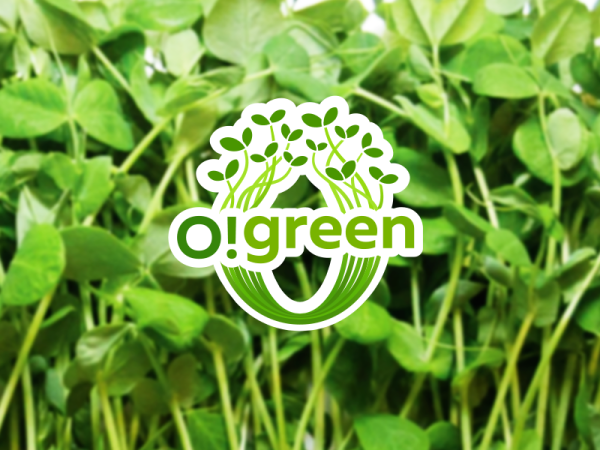 Микрозелень логотип