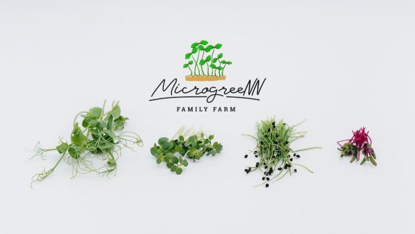 Визитка микрозелень