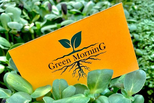 Микрозелень логотип