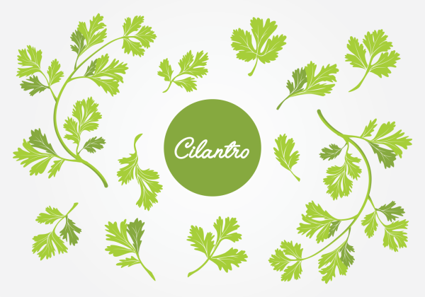 Ростки зелень символ