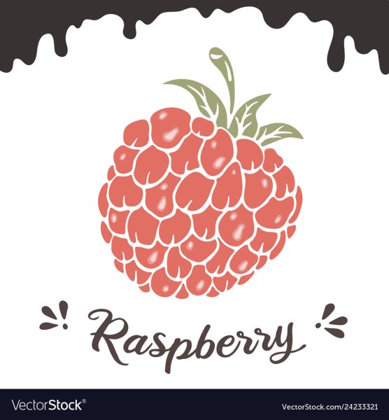 Малина логотип вектор