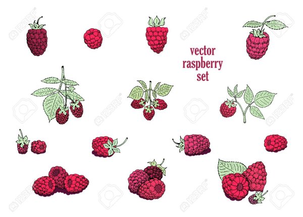 Малина логотип