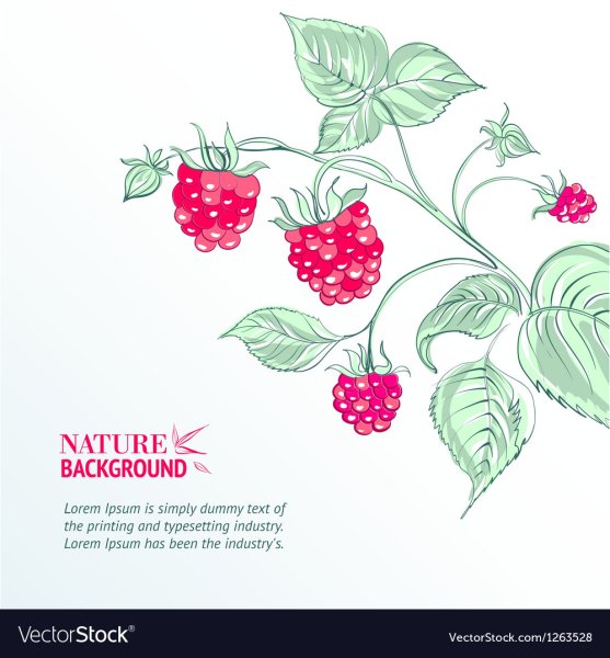 Малина логотип акварель