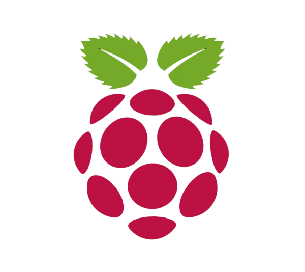 Raspberry Pi logo