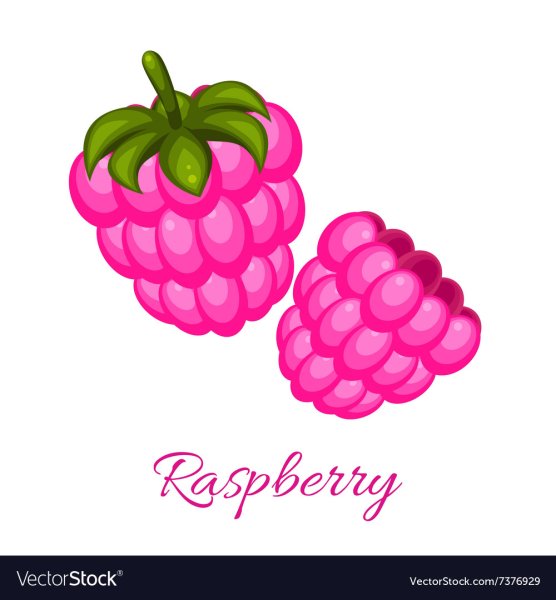 Малина логотип вектор