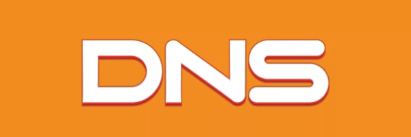 Логотип DNS 2000-2011