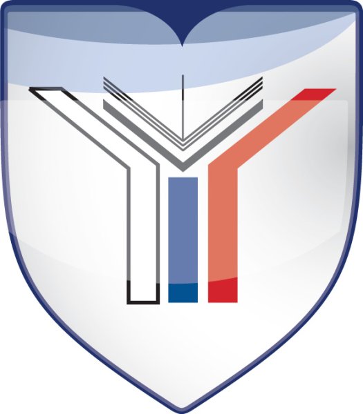 Школа бизнеса и международных компетенций МГИМО