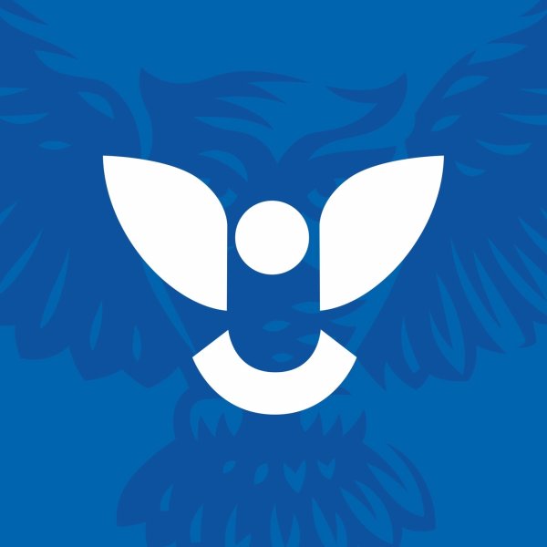 ВЯТГУ символика