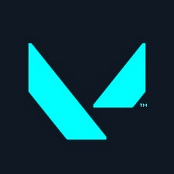 Valorant надпись