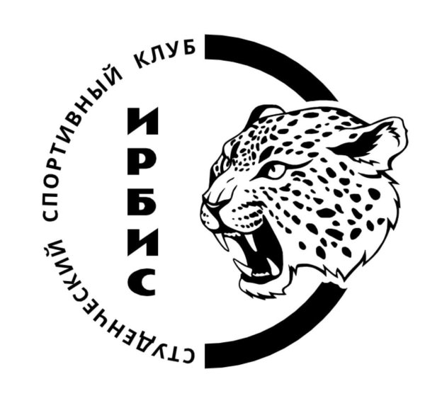 Логотип снежных Барсов