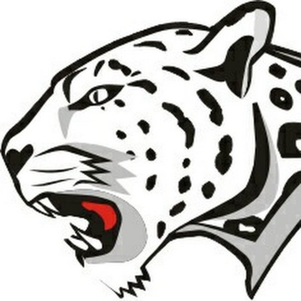 Снежный Барс значок