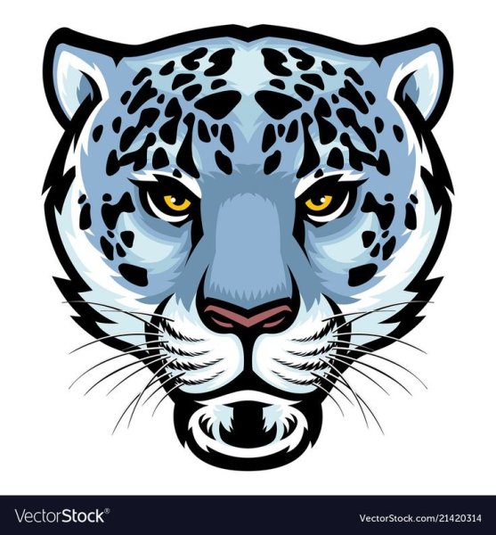 Барс морда вектор