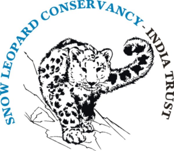 Эмблема снежный Барс для детей