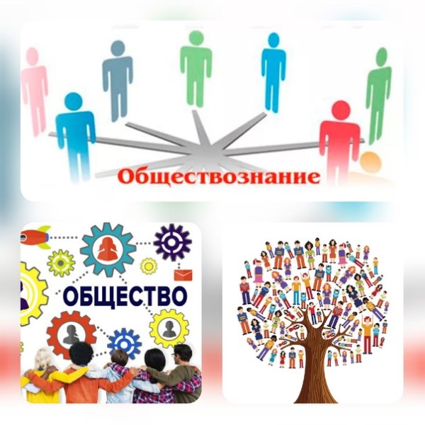 Обществознание для чайников