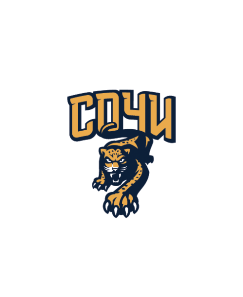 Эмблема хоккейного клуба Сочи